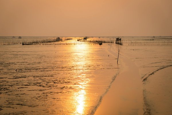 Discover Exciting Opportunities to Participate in Archaeological Excavations Across the UK!