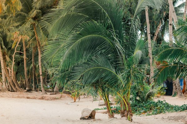 Explore Affordable Adventures through Durham's Captivating Medieval Treasures!