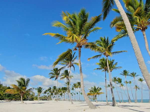 The Definitive Guide to Safeguarding Your Camping Gear at UK Festivals: Tips and Tricks